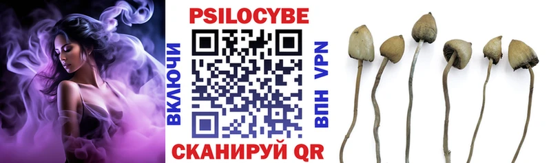 Галлюциногенные грибы Psilocybe  Симферополь 