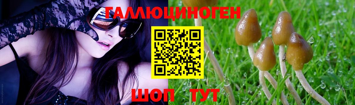Псилоцибиновые грибы Psilocybine cubensis  Вход с VPN  Симферополь 